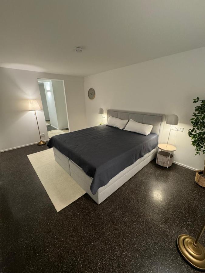 Isaak Appartment Stadtjuwel วัลด์ชุท-ทีนเงน ภายนอก รูปภาพ